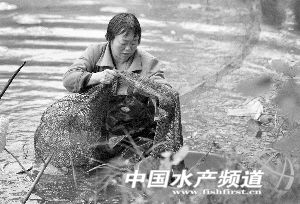 ��ۙС���r�����u��ȫ�^�̣���r����B�q3����