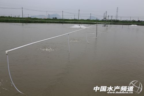 ��ɽ����M�ڳ������ƏV���������O��