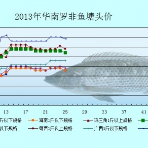 5��27-31���_���~�r(ji��)�������܈�(b��o)