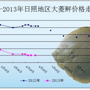 2013��5�µ�6�³����������\�~�r(ji��)����r