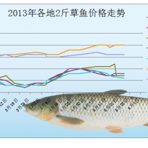 2013��5��24-6��1�ղ��ֵ؅^(q��)��Ҏ(gu��)����~�r(ji��)����r