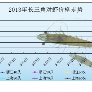 2013��6��1���L(zh��ng)���ǌ�(du��)�r�r(ji��)����r