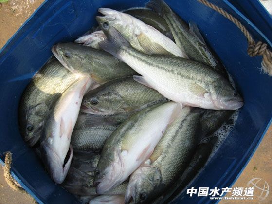 �����|�������p�� һ���j�q10Ԫ/��