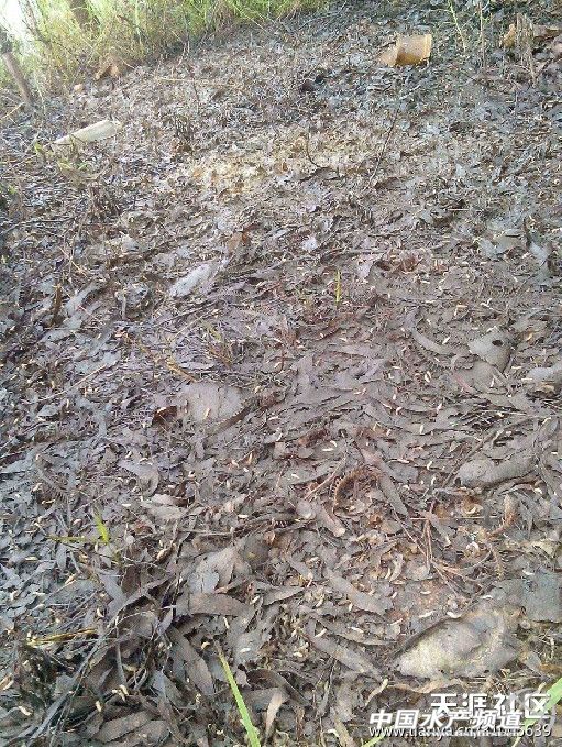 �Ǵ��Bֳ���؇���ˮ�a��ˮ�M�����r����