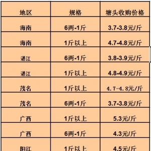 2013��6��7���A�ϵ؅^�_���~���^�r