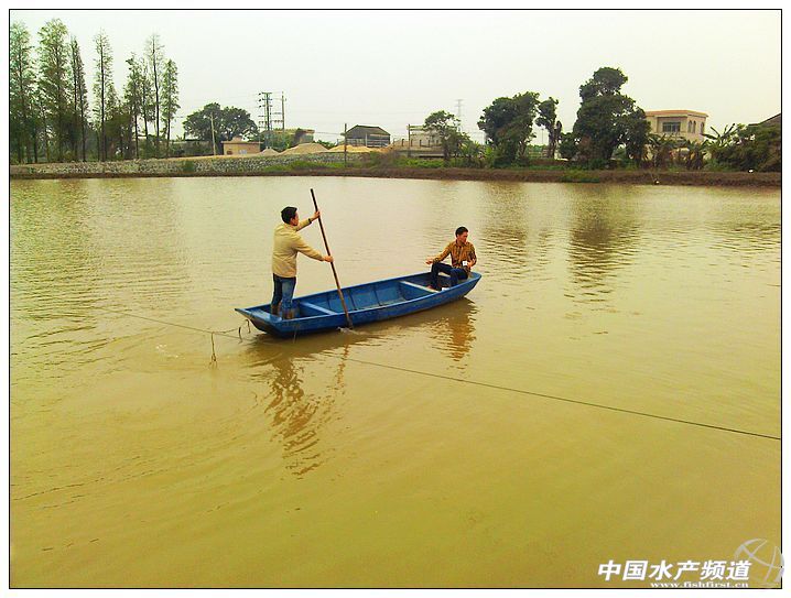 ˮ�a���������M���� ��ʮ����У�W���x�SͶ��