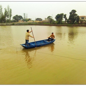 ˮ�a���������M���� ��ʮ����У�W���x�SͶ��