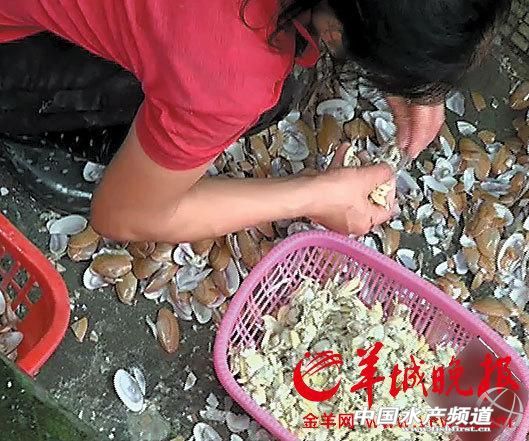 �V�ݺ������ӹ��������ף������N���Ƙ�