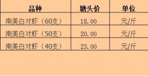 2013��6��14�������ǵ؅^(q��)�����׌��r�r������