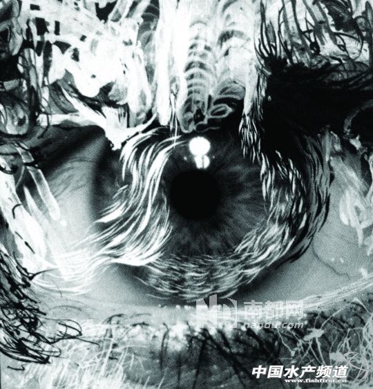 Σ��ʯ�ߣ�����������������or��ه�Ƽ���