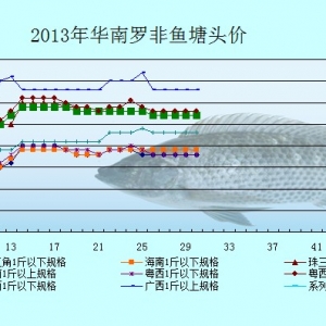 6��17-21���_���~�r�������܈�