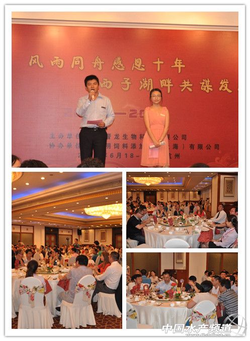 �~Ԫ������С�����I�����P�I��ԭ�ϲ��