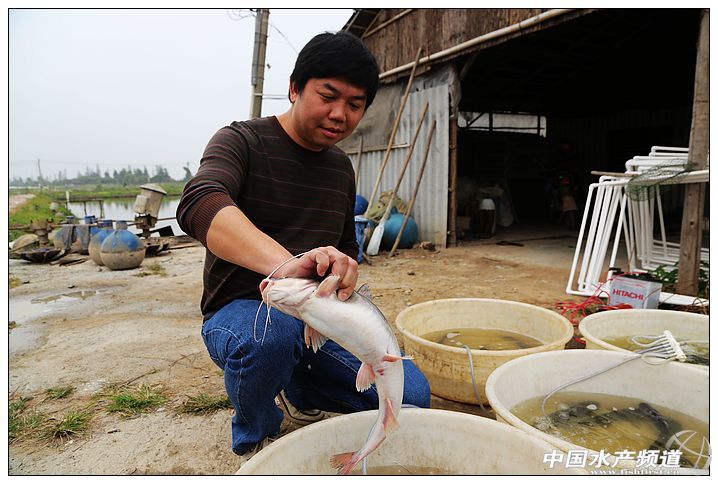 �S����: �Խ�ǧ��������aֵ�^�|Ԫ