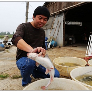 �S����: �Խ�ǧ��������aֵ�^�|Ԫ