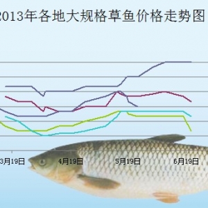 2013��6��24�������ǵ؅^(q��)��Ҏ(gu��)����~���^�r