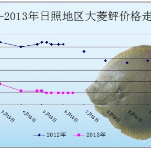 2013��7��1��ɽ�|���յ؅^(q��)�����҃r������