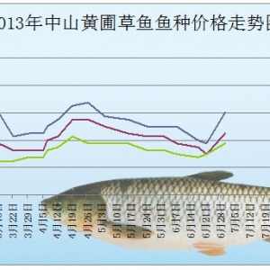 2013��7��1����ɽ�S�Բ��~�N���^�r