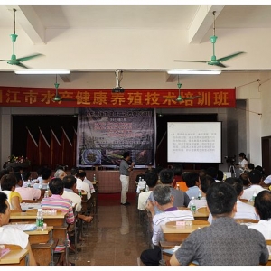 EMS�l���cˮ�w��������r�������P