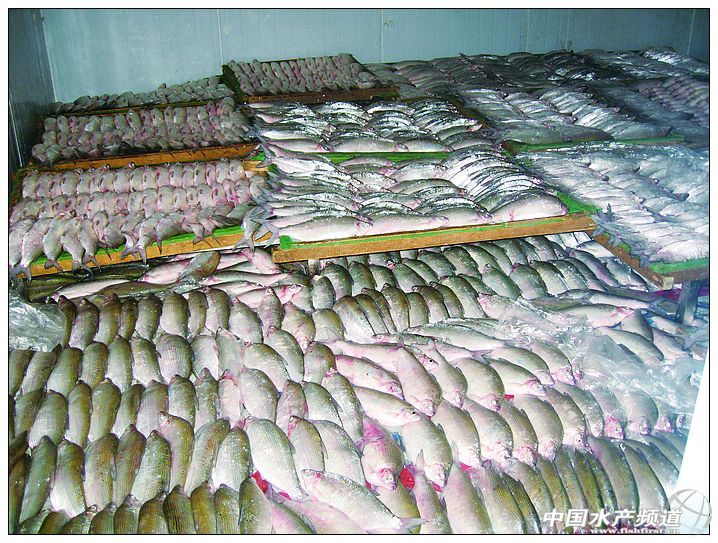 ���q�~�Ĺ���