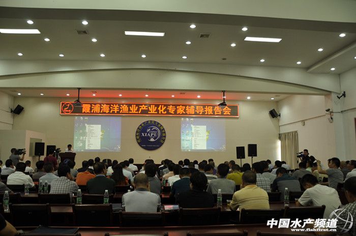 ����ϼ�֣�������Ʒ�� �l(f��)չ���a(ch��n)��(qi��ng)�h