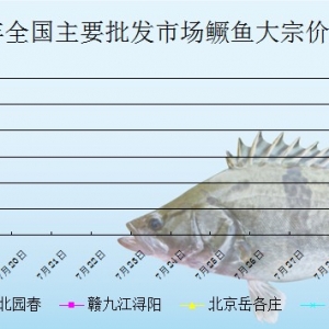 2013��7��18��ȫ����Ҫ���l�Ј����Z�~�r������