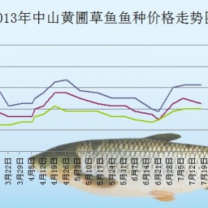 2013��7��6��-18����ɽ�S�Բ��~�N���^�r