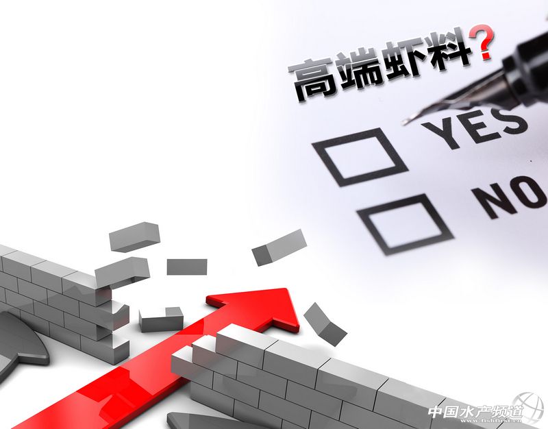 �߶��r�ϡ������^߀�����^