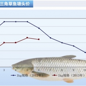 ���~���r��(w��n)������ˮ�a(ch��n)ǰ�ء�2013��7�¿��Ј�څ��