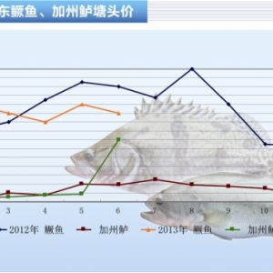 �Z�~�������|���r��С���»�/�����~�p�� ����ˮ�aǰ�ء�2013��7�¿��Ј�څ��