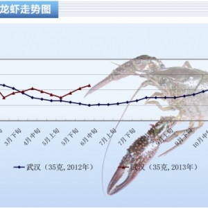 С���r�����M�M��߷��� �r���������ӡ���ˮ�aǰ�ء�2013��7�¿��Ј�څ��