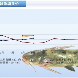 �S��~����ˮ�l�� Ͷ���y�����ӡ���ˮ�aǰ�ء�2013��7�¿��Ј�څ��