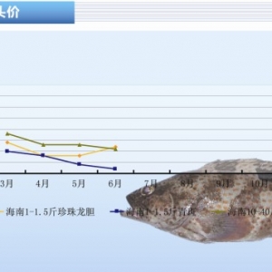 ʯ���~���r��ƽ��(w��n) ������đ������ɫ����ˮ�aǰ�ء�2013��7�¿��Ј�څ��