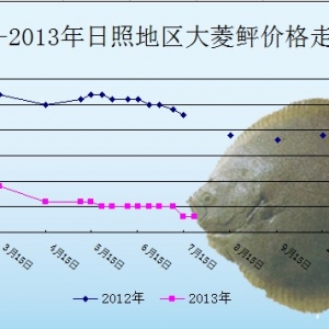 2013��7��24��ɽ�|���յ؅^�����҃r������