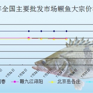 2013��7��25��ȫ����Ҫ���l�Ј��Z�~�r������