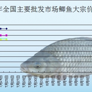 2013��7��25��ȫ����Ҫ���l�Ј��a�~�r������