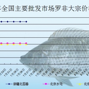 2013��7��26��ȫ����Ҫ���l�Ј��_���~�r������