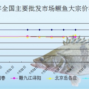 2013��7��26��ȫ����Ҫ���l�Ј��Z�~�r������