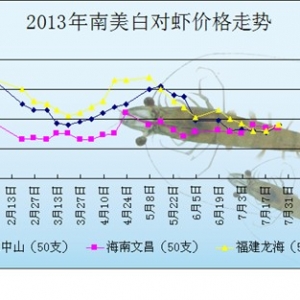 2013��7��22-26�������׌��r�����܈�