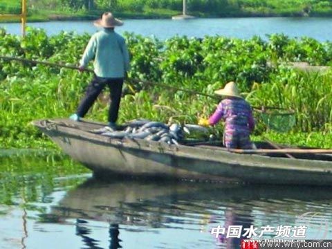 ���ᣡ�Ϻ������~������������ �㽭�����S�X����������