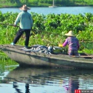 �������Ϻ������~������������ �㽭�����S�X����������