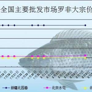 2013��8��7��ȫ����Ҫ���l(f��)�Ј��_���~�r(ji��)������