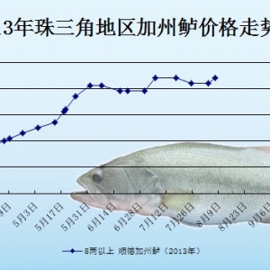 2013��8��8��ȫ�����؅^(q��)�����|���^�r