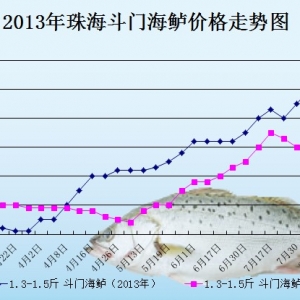 2013��8��8�������ǵ؅^���|���^�r