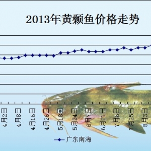 2013��8��8��ȫ���؅^�S��~���^�r