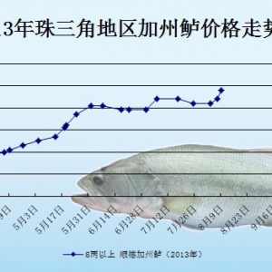 2013��8��9��ȫ�����؅^�����|���^�r