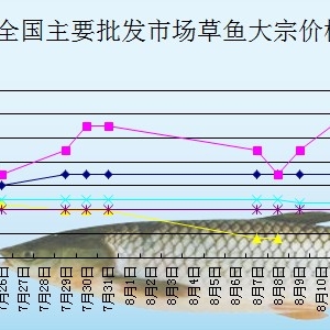 2013��8��12��ȫ����Ҫ���l�Ј����~�r������