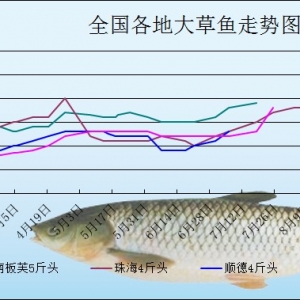 2013��8��12�ո��؅^��Ҏ����~���^�r