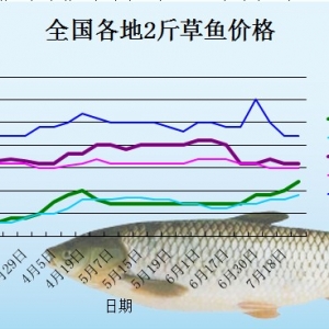 2013��8��12�ո��؅^2����~���^�r