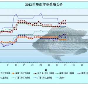 2013��8��12-15���_���~�r�������܈�