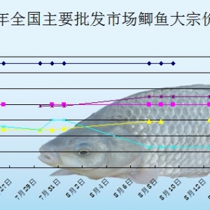 2013��8��15��ȫ����Ҫ���l�Ј��a�~�r������